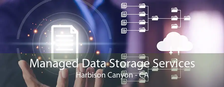 Managed Data Storage Services Harbison Canyon - CA