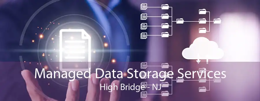 Managed Data Storage Services High Bridge - NJ