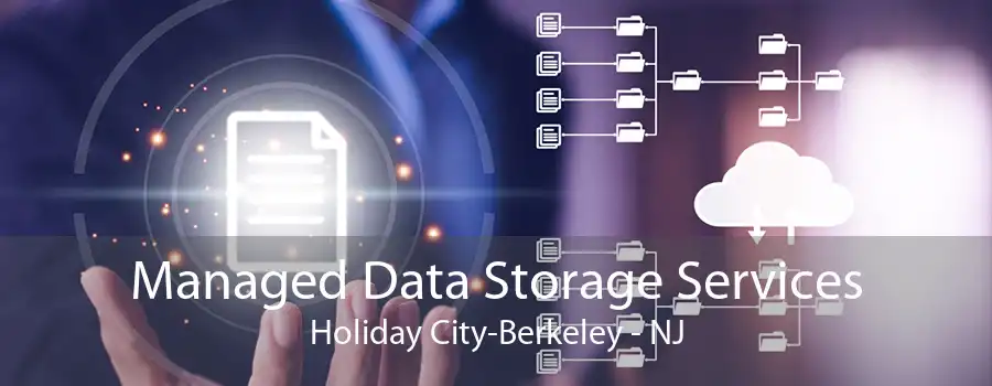 Managed Data Storage Services Holiday City-Berkeley - NJ