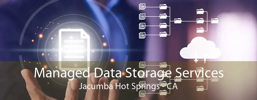 Managed Data Storage Services Jacumba Hot Springs - CA