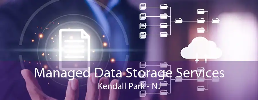 Managed Data Storage Services Kendall Park - NJ