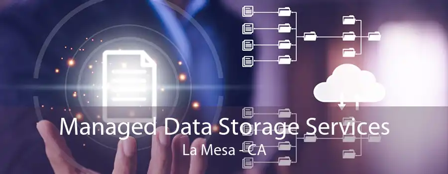 Managed Data Storage Services La Mesa - CA