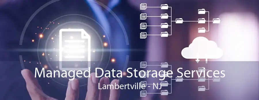 Managed Data Storage Services Lambertville - NJ