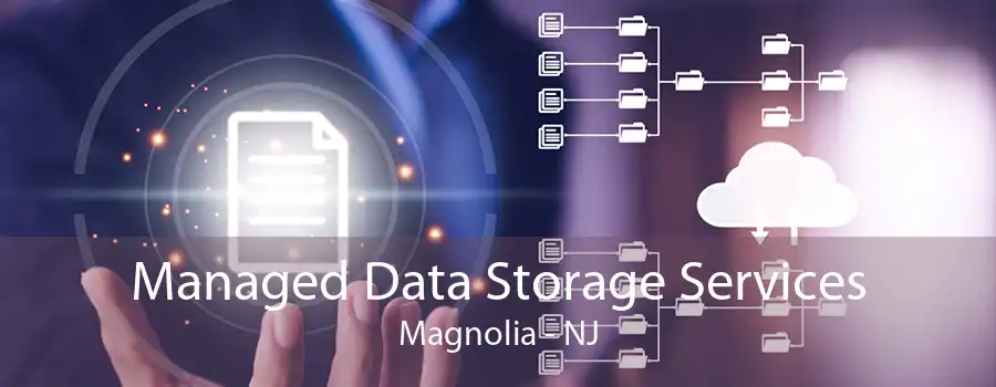 Managed Data Storage Services Magnolia - NJ