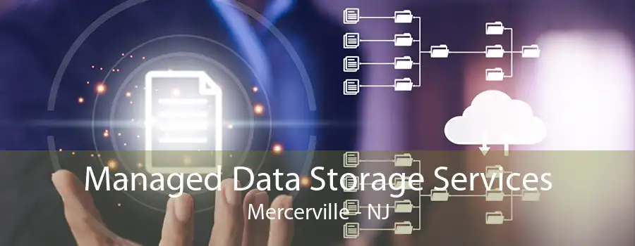 Managed Data Storage Services Mercerville - NJ