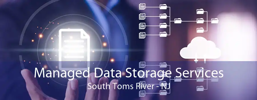 Managed Data Storage Services South Toms River - NJ