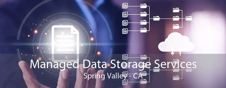 Managed Data Storage Services Spring Valley - CA