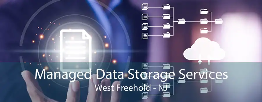 Managed Data Storage Services West Freehold - NJ