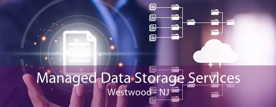 Managed Data Storage Services Westwood - NJ