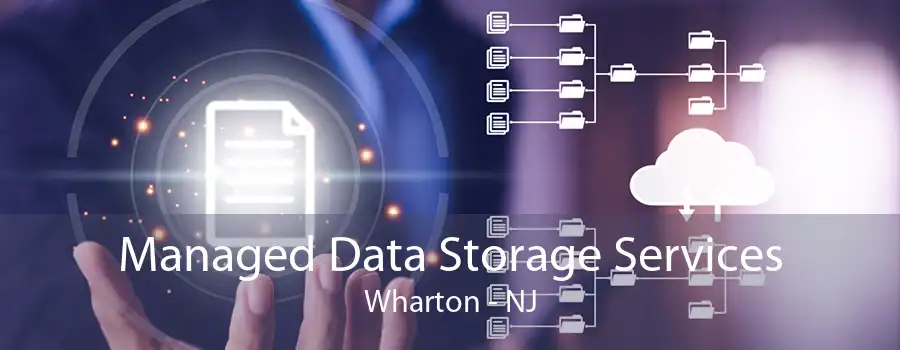 Managed Data Storage Services Wharton - NJ