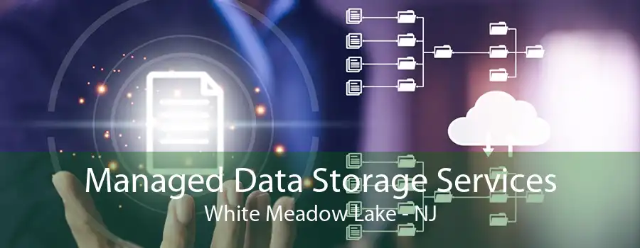 Managed Data Storage Services White Meadow Lake - NJ