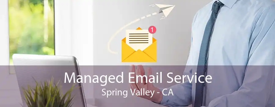 Managed Email Service Spring Valley - CA