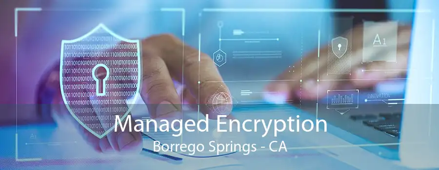 Managed Encryption Borrego Springs - CA