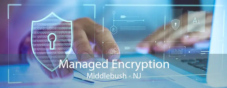 Managed Encryption Middlebush - NJ