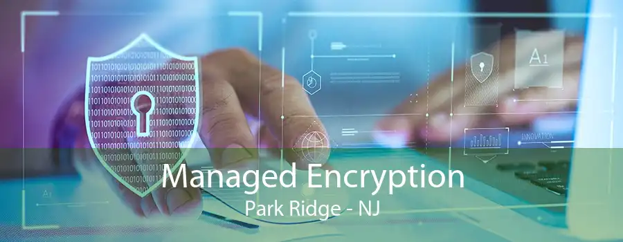 Managed Encryption Park Ridge - NJ