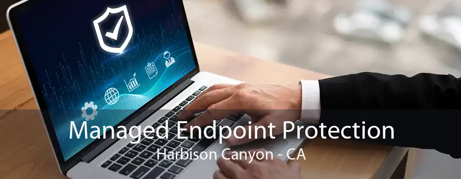 Managed Endpoint Protection Harbison Canyon - CA