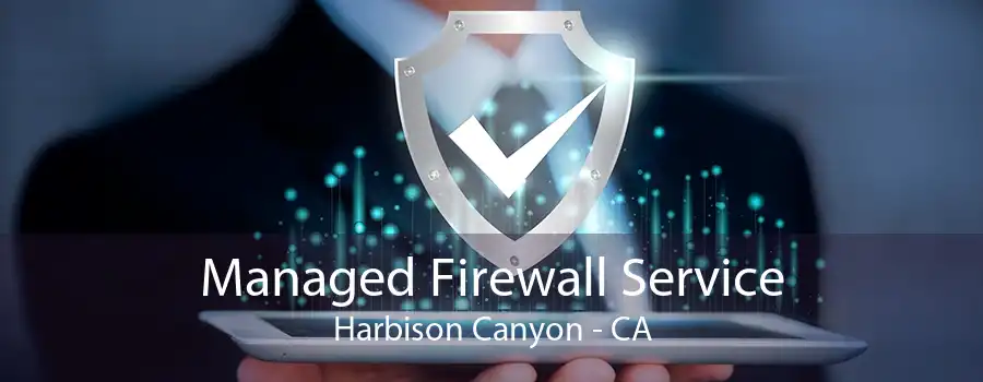 Managed Firewall Service Harbison Canyon - CA