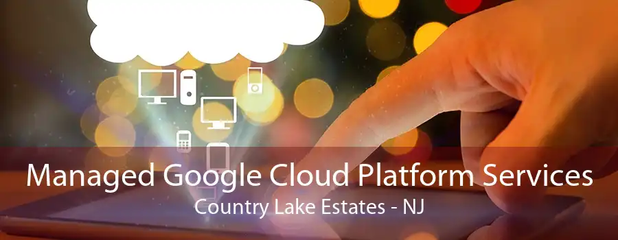 Managed Google Cloud Platform Services Country Lake Estates - NJ