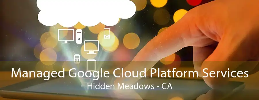 Managed Google Cloud Platform Services Hidden Meadows - CA