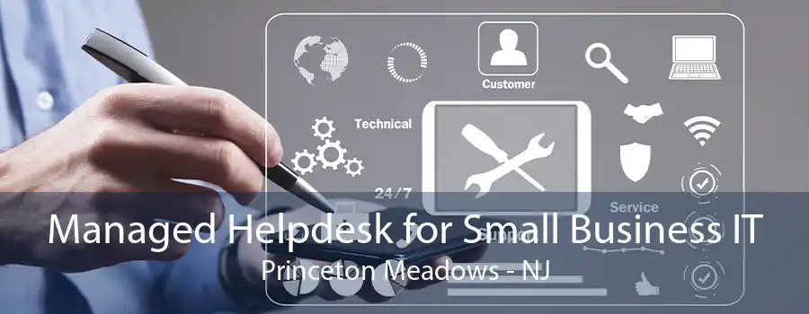 Managed Helpdesk for Small Business IT Princeton Meadows - NJ