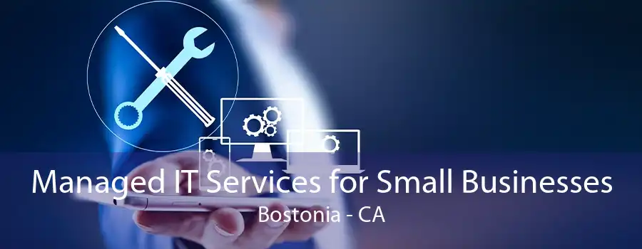 Managed IT Services for Small Businesses Bostonia - CA