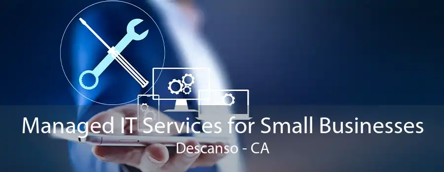 Managed IT Services for Small Businesses Descanso - CA