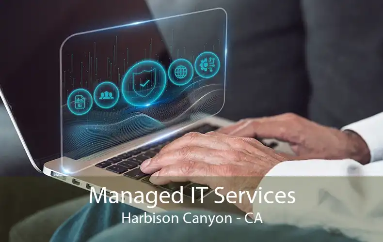 Managed IT Services Harbison Canyon - CA