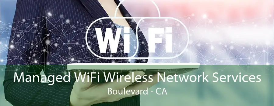 Managed WiFi Wireless Network Services Boulevard - CA