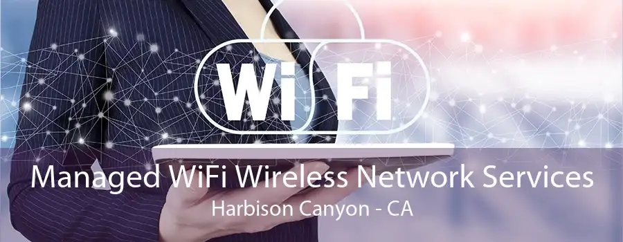 Managed WiFi Wireless Network Services Harbison Canyon - CA