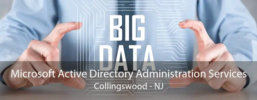 Microsoft Active Directory Administration Services Collingswood - NJ