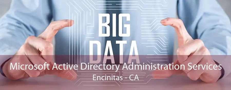 Microsoft Active Directory Administration Services Encinitas - CA