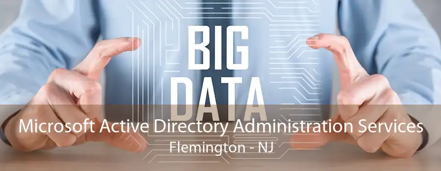 Microsoft Active Directory Administration Services Flemington - NJ