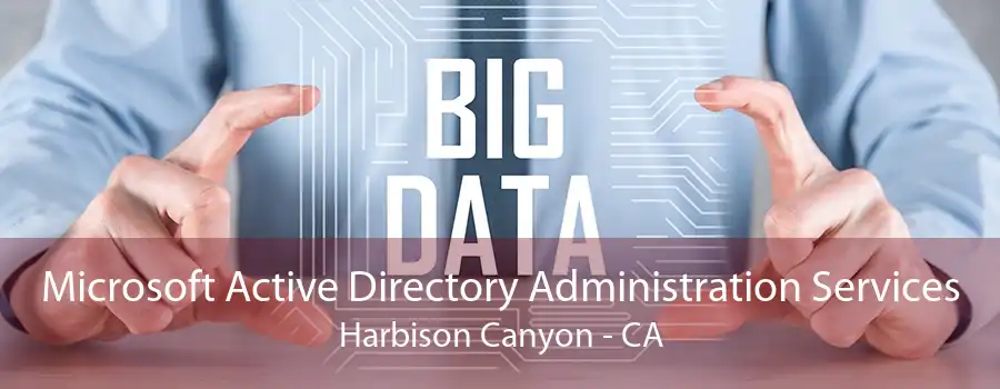 Microsoft Active Directory Administration Services Harbison Canyon - CA