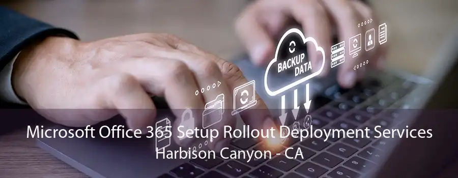 Microsoft Office 365 Setup Rollout Deployment Services Harbison Canyon - CA