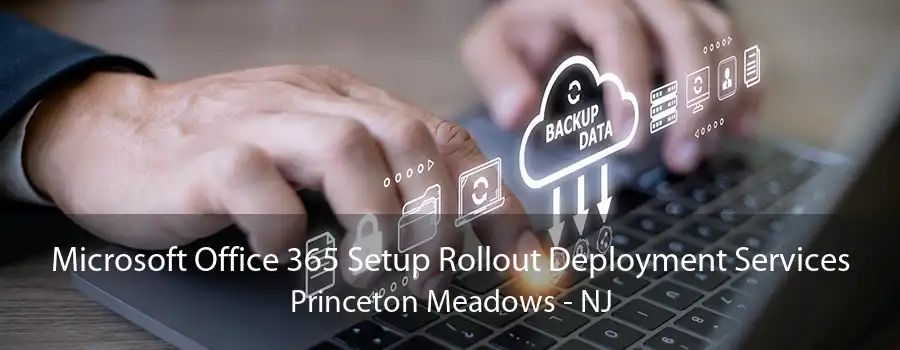 Microsoft Office 365 Setup Rollout Deployment Services Princeton Meadows - NJ