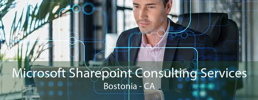 Microsoft Sharepoint Consulting Services Bostonia - CA