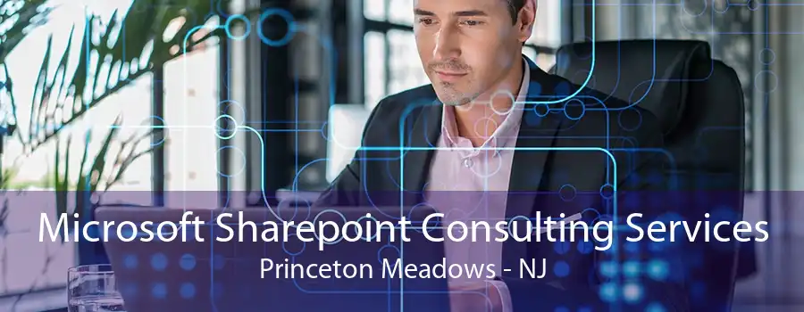 Microsoft Sharepoint Consulting Services Princeton Meadows - NJ