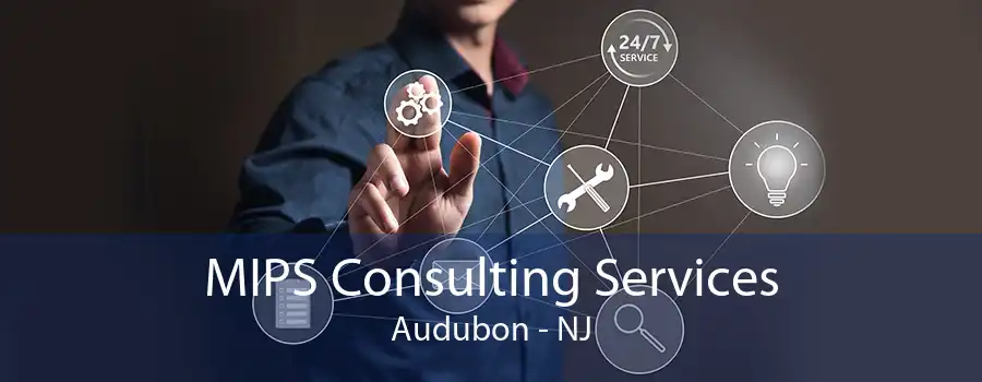 MIPS Consulting Services Audubon - NJ