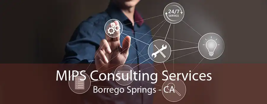 MIPS Consulting Services Borrego Springs - CA