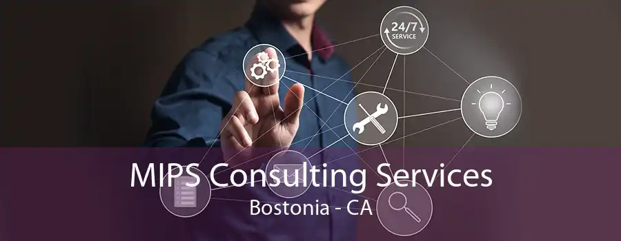 MIPS Consulting Services Bostonia - CA