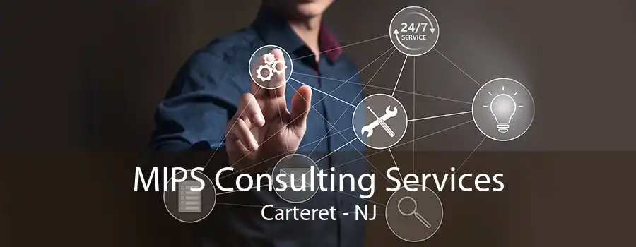 MIPS Consulting Services Carteret - NJ