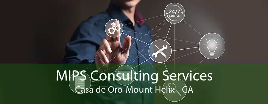 MIPS Consulting Services Casa de Oro-Mount Helix - CA