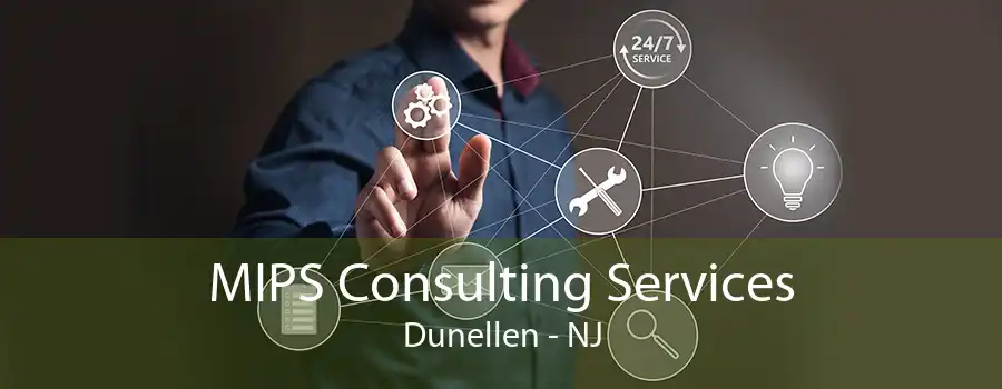 MIPS Consulting Services Dunellen - NJ