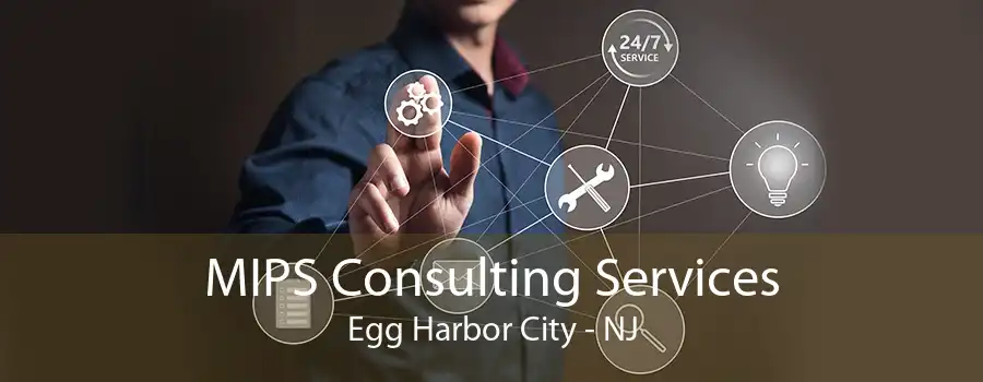 MIPS Consulting Services Egg Harbor City - NJ