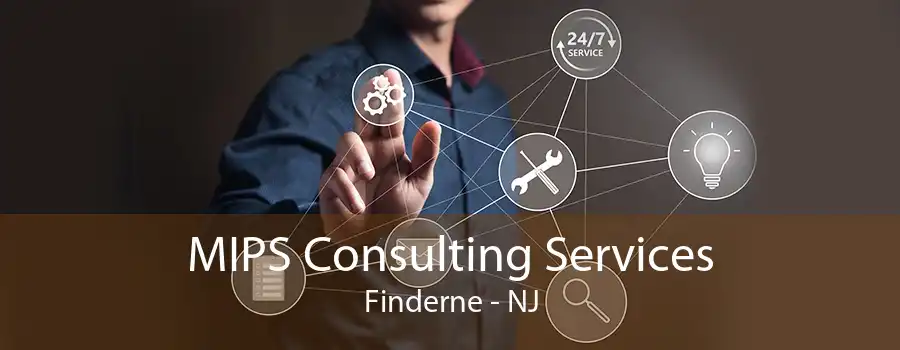 MIPS Consulting Services Finderne - NJ