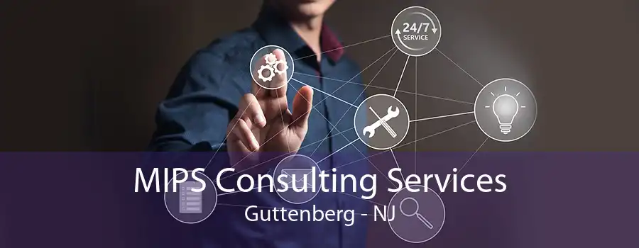 MIPS Consulting Services Guttenberg - NJ