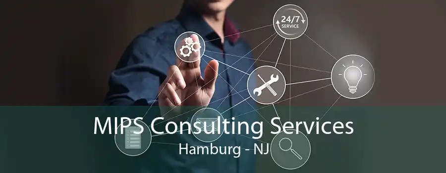 MIPS Consulting Services Hamburg - NJ