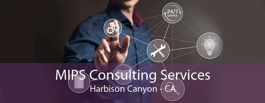 MIPS Consulting Services Harbison Canyon - CA