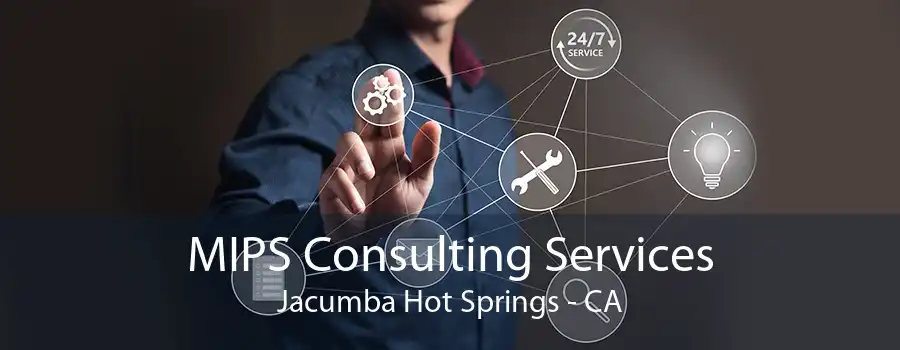 MIPS Consulting Services Jacumba Hot Springs - CA