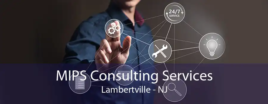 MIPS Consulting Services Lambertville - NJ